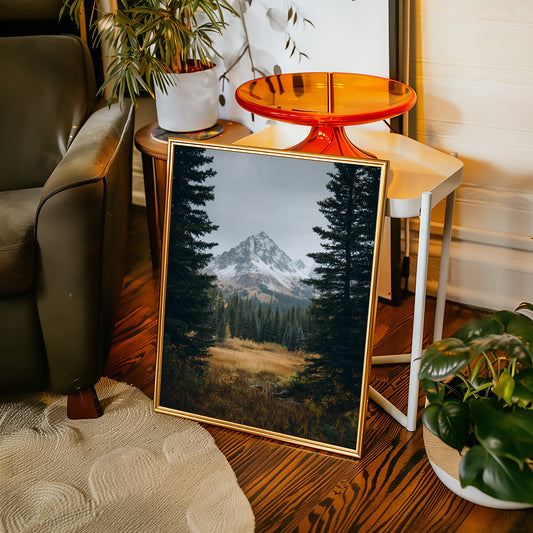 Gallery image 12 for AL1865 - Premium Art Print