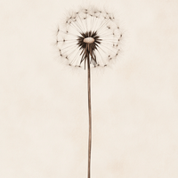 Gallery image 13 for AL0265 - Premium Art Print
