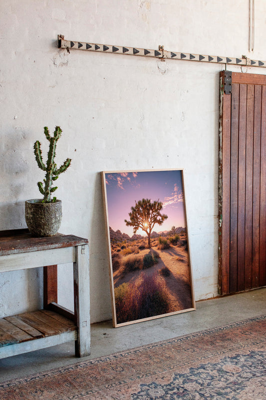 Gallery image 13 for AL1887 - Premium Art Print