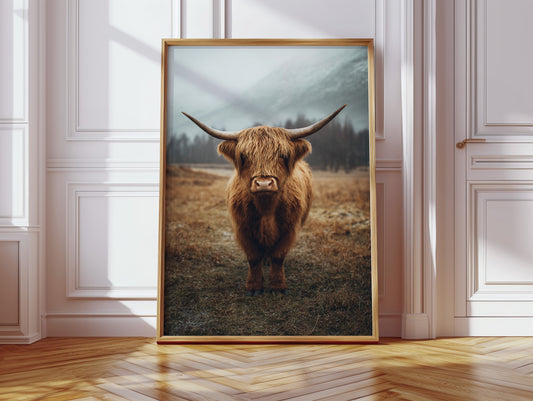 Gallery image 13 for AL1848 - Premium Art Print