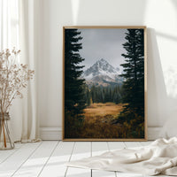 Gallery image 14 for AL1865 - Premium Art Print