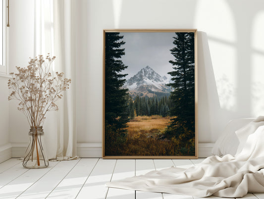 Gallery image 14 for AL1865 - Premium Art Print
