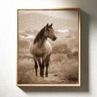 Gallery image 14 for AL1833 - Premium Art Print