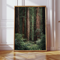Gallery image 3 for AL1864 - Premium Art Print