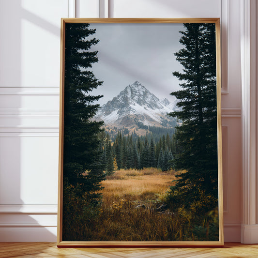 Gallery image 3 for AL1865 - Premium Art Print