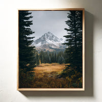 Gallery image 4 for AL1865 - Premium Art Print