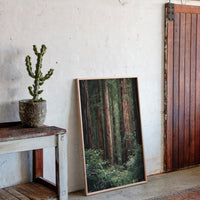Gallery image 5 for AL1864 - Premium Art Print