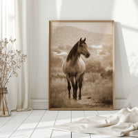 Gallery image 5 for AL1833 - Premium Art Print