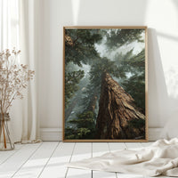 Gallery image 6 for AL1880 - Premium Art Print