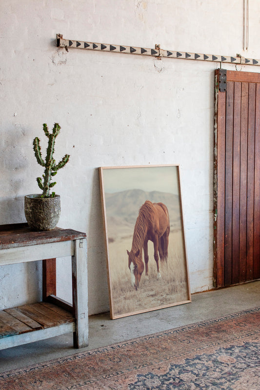 Gallery image 6 for AL1820 - Premium Art Print