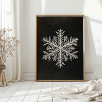 Gallery image 7 for AL0269 - Premium Art Print