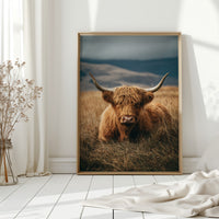 Gallery image 7 for AL1835 - Premium Art Print