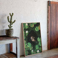 Gallery image 8 for AL0304 - Premium Art Print