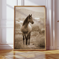 Gallery image 8 for AL1833 - Premium Art Print