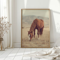 Gallery image 8 for AL1820 - Premium Art Print