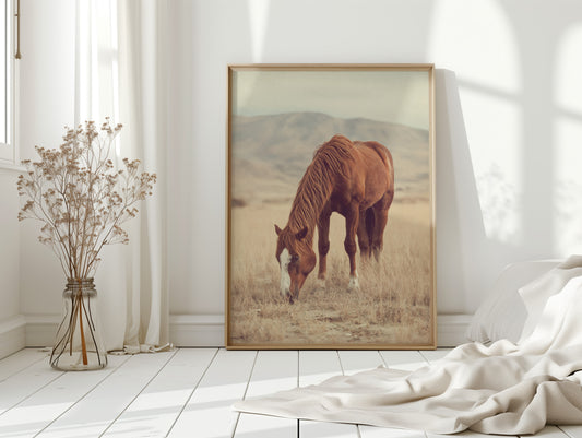 Gallery image 8 for AL1820 - Premium Art Print
