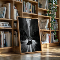 Gallery image 9 for AL1861 - Premium Art Print