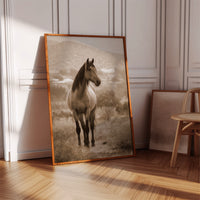 Gallery image 9 for AL1833 - Premium Art Print