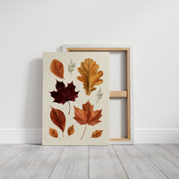 Gold Keeps Its Shape, a cluster of pressed autumn leaves in rust, maroon and gold on a cream ground, drawn in a botanical journal style, on a gallery canvas with wrapped edges leaning against a white wall