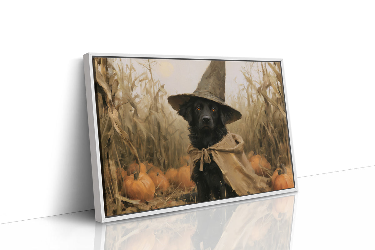 Good Boy, Bad Spell, black dog in a witch hat in a pumpkin patch painting, as a framed canvas in a white frame