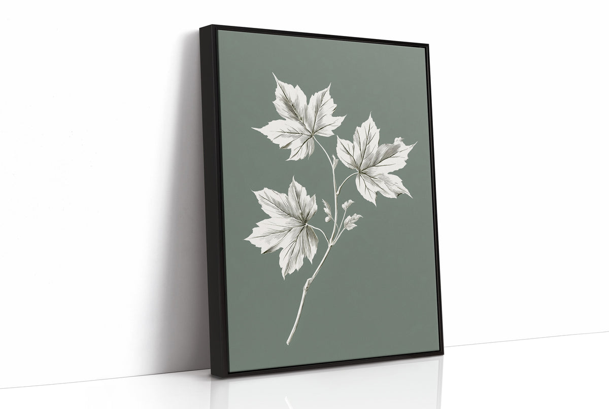 Leaves Kept Pale Against Sage, a sprig of pale maple leaves drawn in bone and white lines on a muted sage green ground, a pressed botanical study with soft, careful shading, as a framed canvas in a black frame