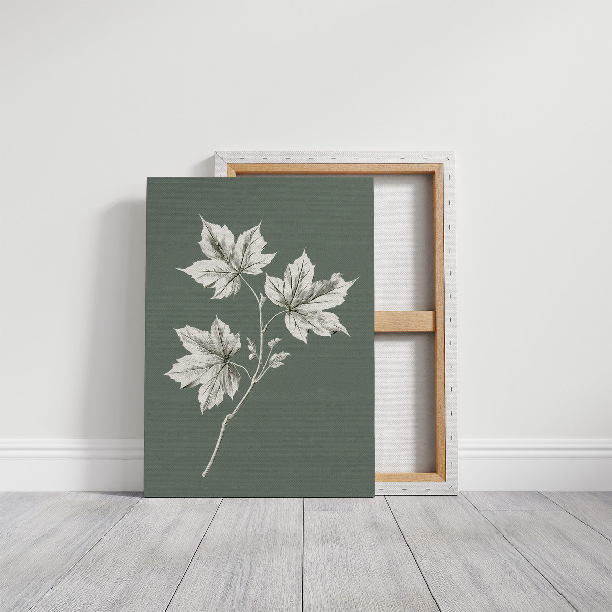 Leaves Kept Pale Against Sage, a sprig of pale maple leaves drawn in bone and white lines on a muted sage green ground, a pressed botanical study with soft, careful shading, on a gallery canvas with wrapped edges leaning against a white wall