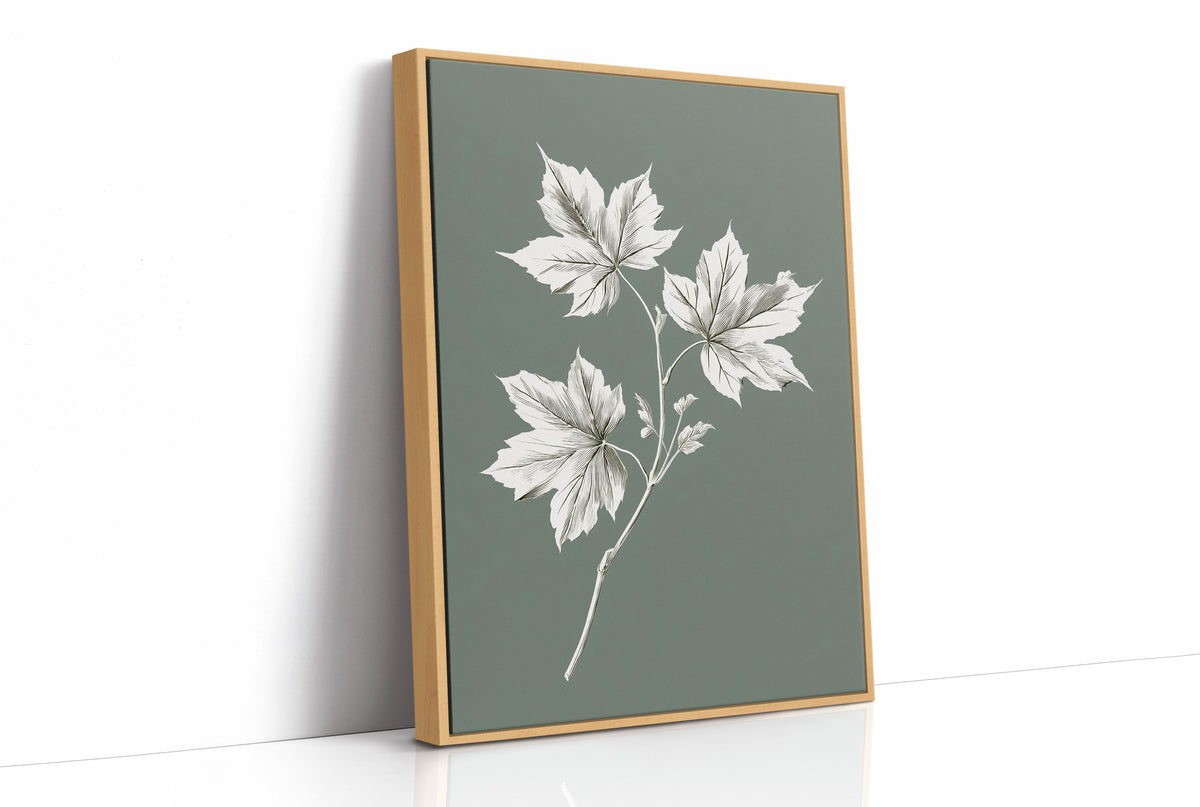 Leaves Kept Pale Against Sage, a sprig of pale maple leaves drawn in bone and white lines on a muted sage green ground, a pressed botanical study with soft, careful shading, as a framed canvas in a natural wood frame