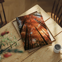 Look Up Into the Burning Wood, looking straight up through a canopy of tall dark trunks and orange autumn foliage, the pale sky glowing behind them, painted in rust, burnt orange and charcoal, lying flat on a light wood table beside a coffee cup and red berries