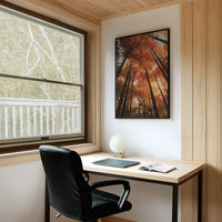 Look Up Into the Burning Wood, looking straight up through a canopy of tall dark trunks and orange autumn foliage, the pale sky glowing behind them, painted in rust, burnt orange and charcoal, on a study wall above a writing desk and a black desk chair