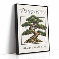 The Pine That Learned to Lean, a Japanese black pine bonsai with dark green needles and a twisted trunk in a shallow pot, in a framed Japanese travel poster style with katakana above and JAPANESE BLACK PINE below, as a framed canvas in a black frame
