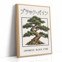 The Pine That Learned to Lean, a Japanese black pine bonsai with dark green needles and a twisted trunk in a shallow pot, in a framed Japanese travel poster style with katakana above and JAPANESE BLACK PINE below, as a framed canvas in a natural wood frame