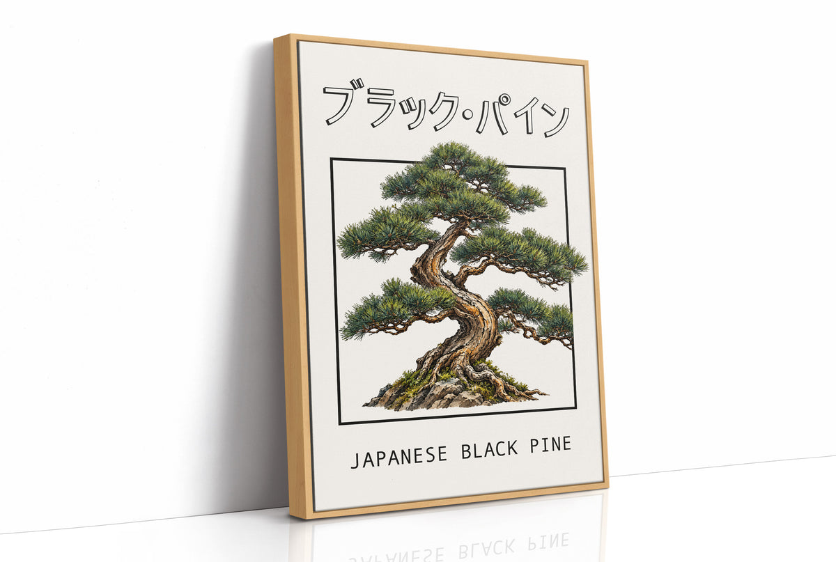 The Pine That Learned to Lean, a Japanese black pine bonsai with dark green needles and a twisted trunk in a shallow pot, in a framed Japanese travel poster style with katakana above and JAPANESE BLACK PINE below, as a framed canvas in a natural wood frame