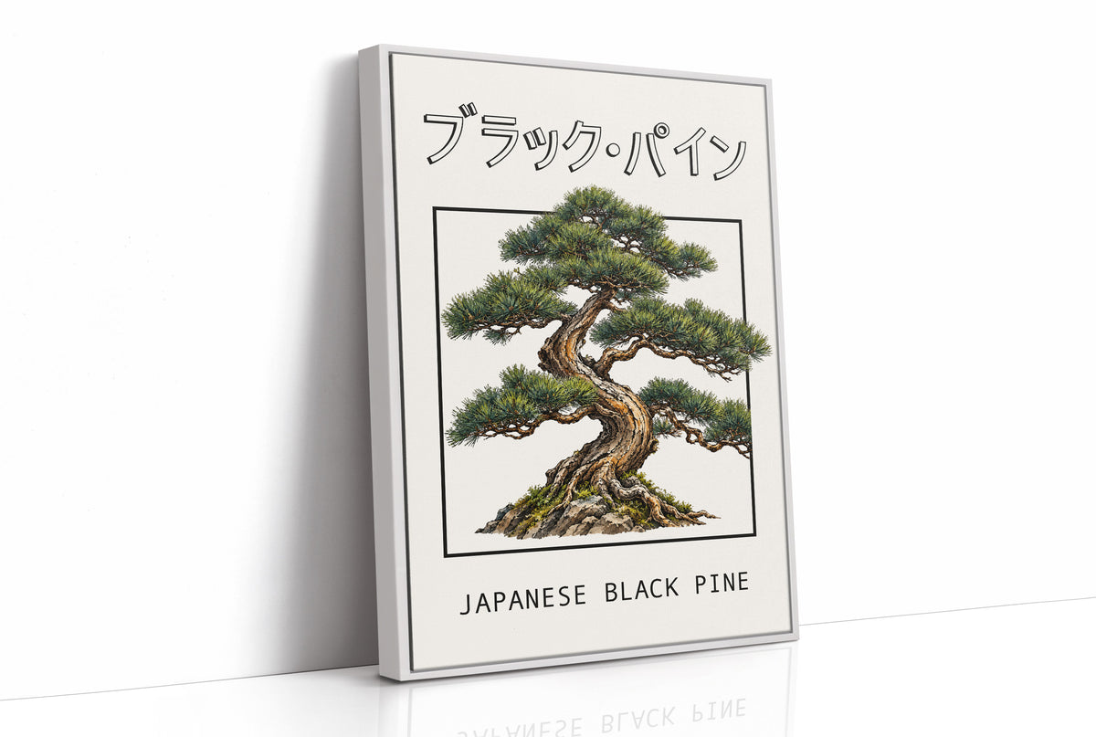 The Pine That Learned to Lean, a Japanese black pine bonsai with dark green needles and a twisted trunk in a shallow pot, in a framed Japanese travel poster style with katakana above and JAPANESE BLACK PINE below, as a framed canvas in a white frame
