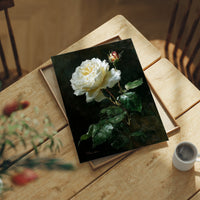 The White Rose Holds Its Light