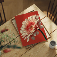 One Bloom, No Apology