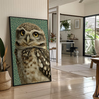 Wide-Eyed Little Owl