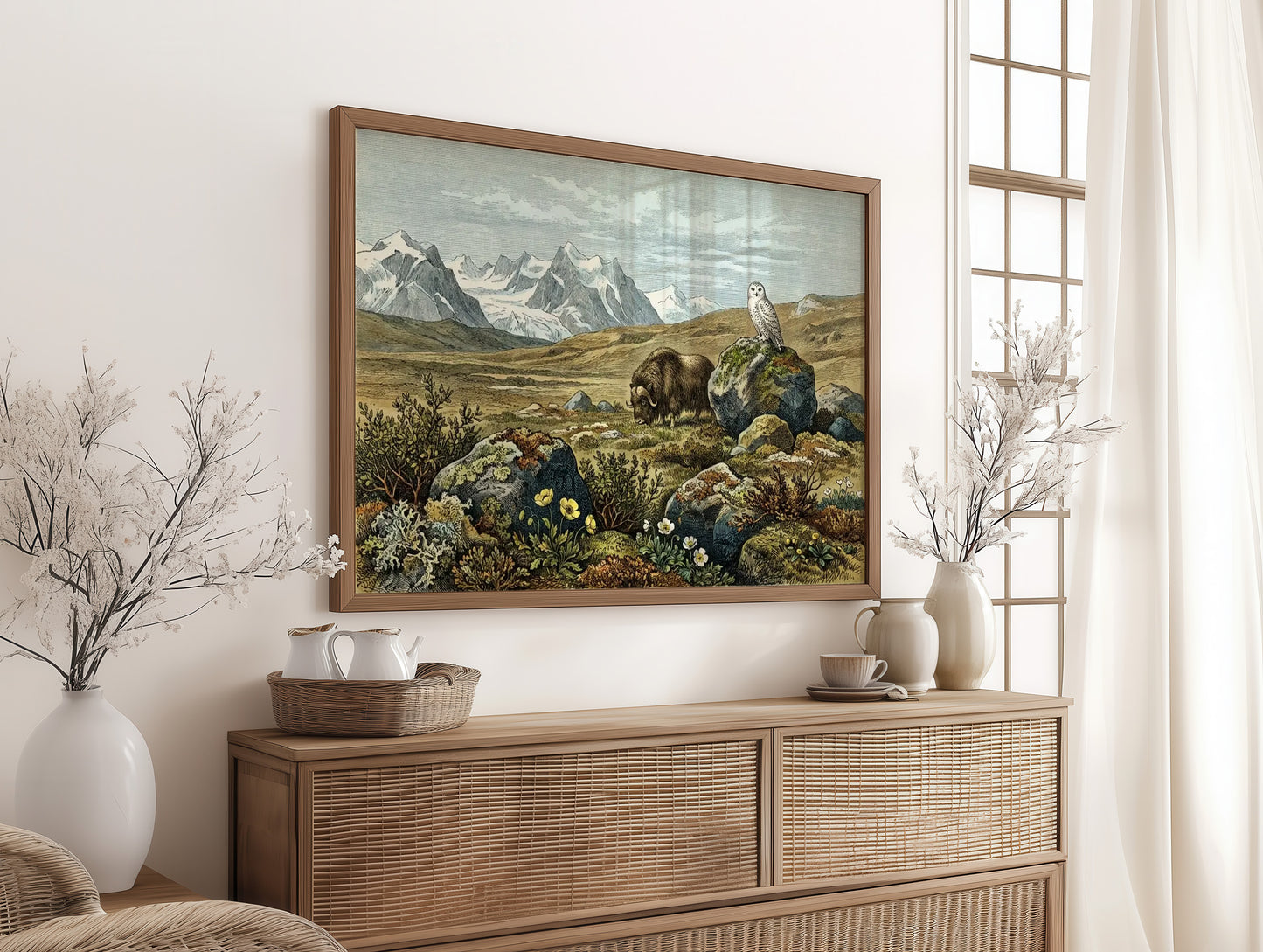Tundra Watch, Owl and Musk Ox