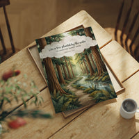 Like a Tree Planted by the Water: Redwood Forest Stream