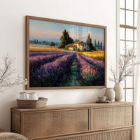 Provence Lavender at Golden Hour