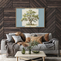 Weathered Olive Tree Study