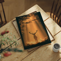 Where the Light Finds the Forest King