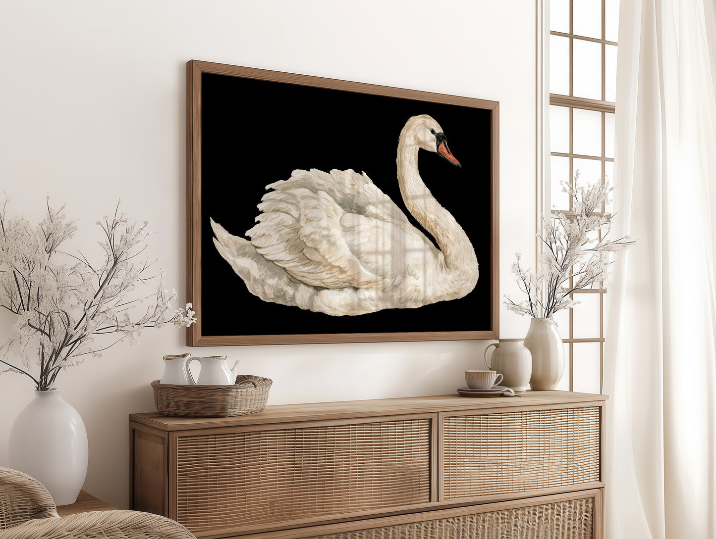 Swan, Study in White