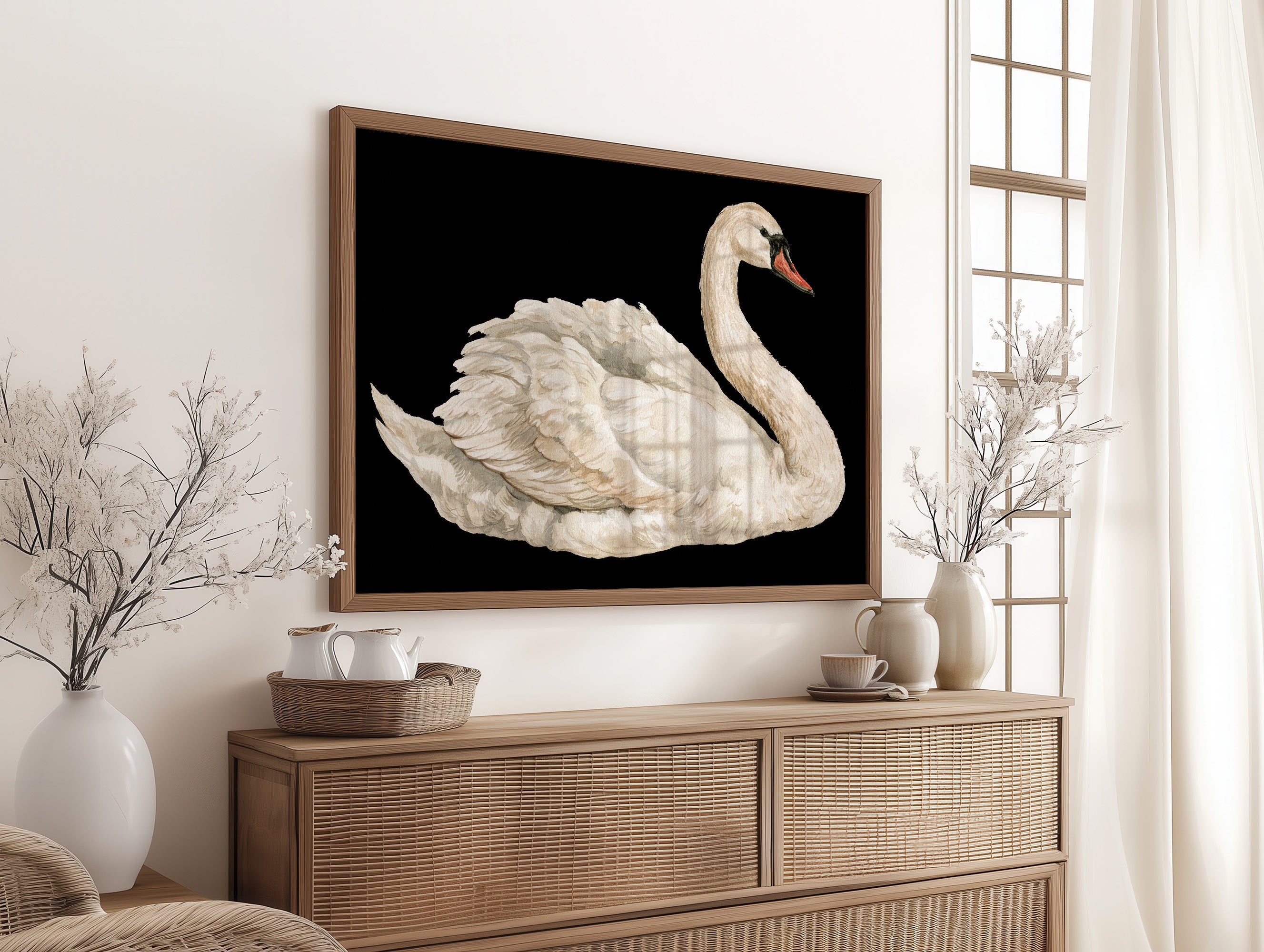 Swan, Study in White