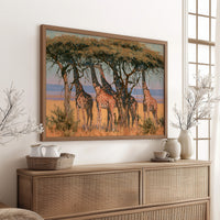 Giraffe Tower, Acacia Shade