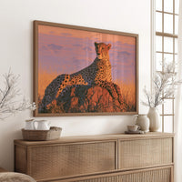 Cheetah, Termite Mound Perch