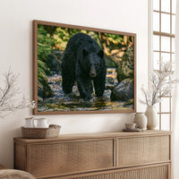 Black Bear at the Water's Edge