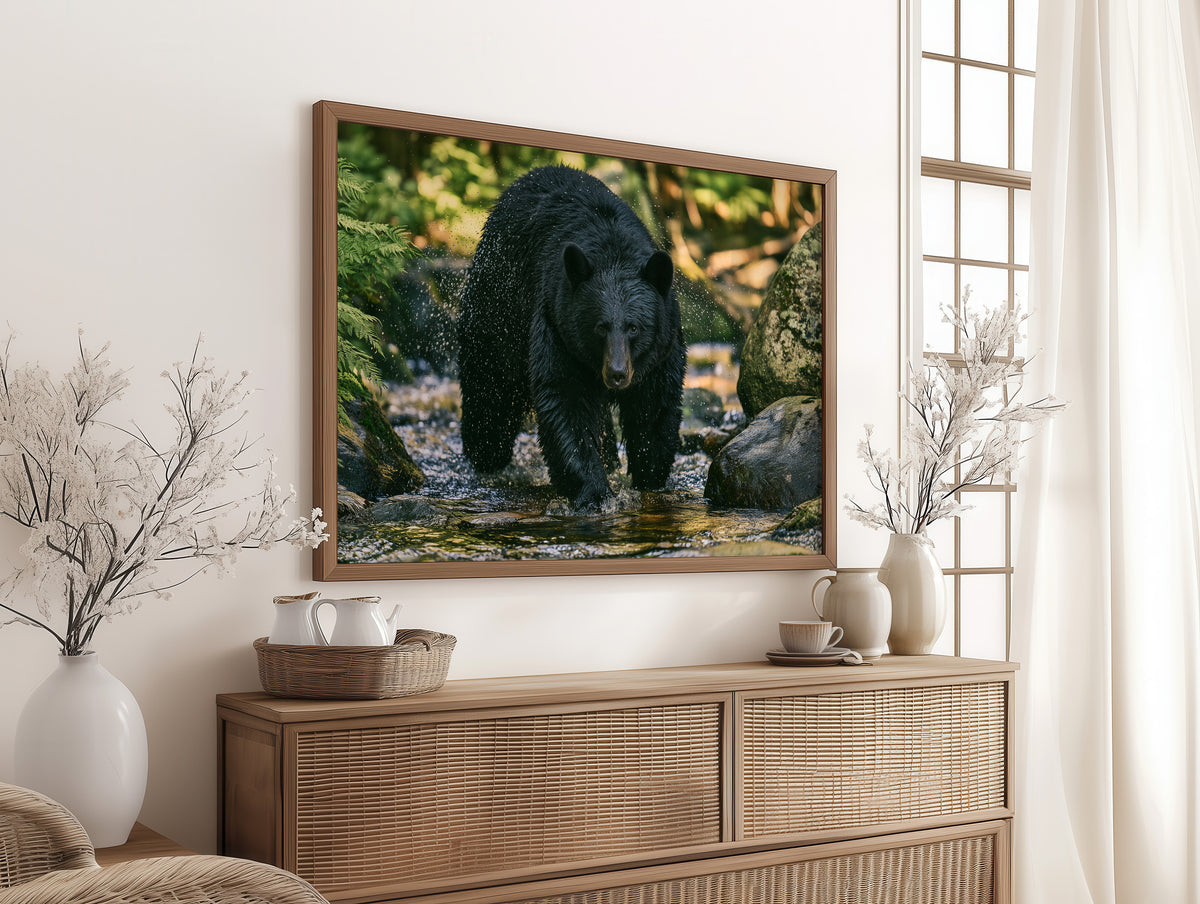 Black Bear at the Water's Edge