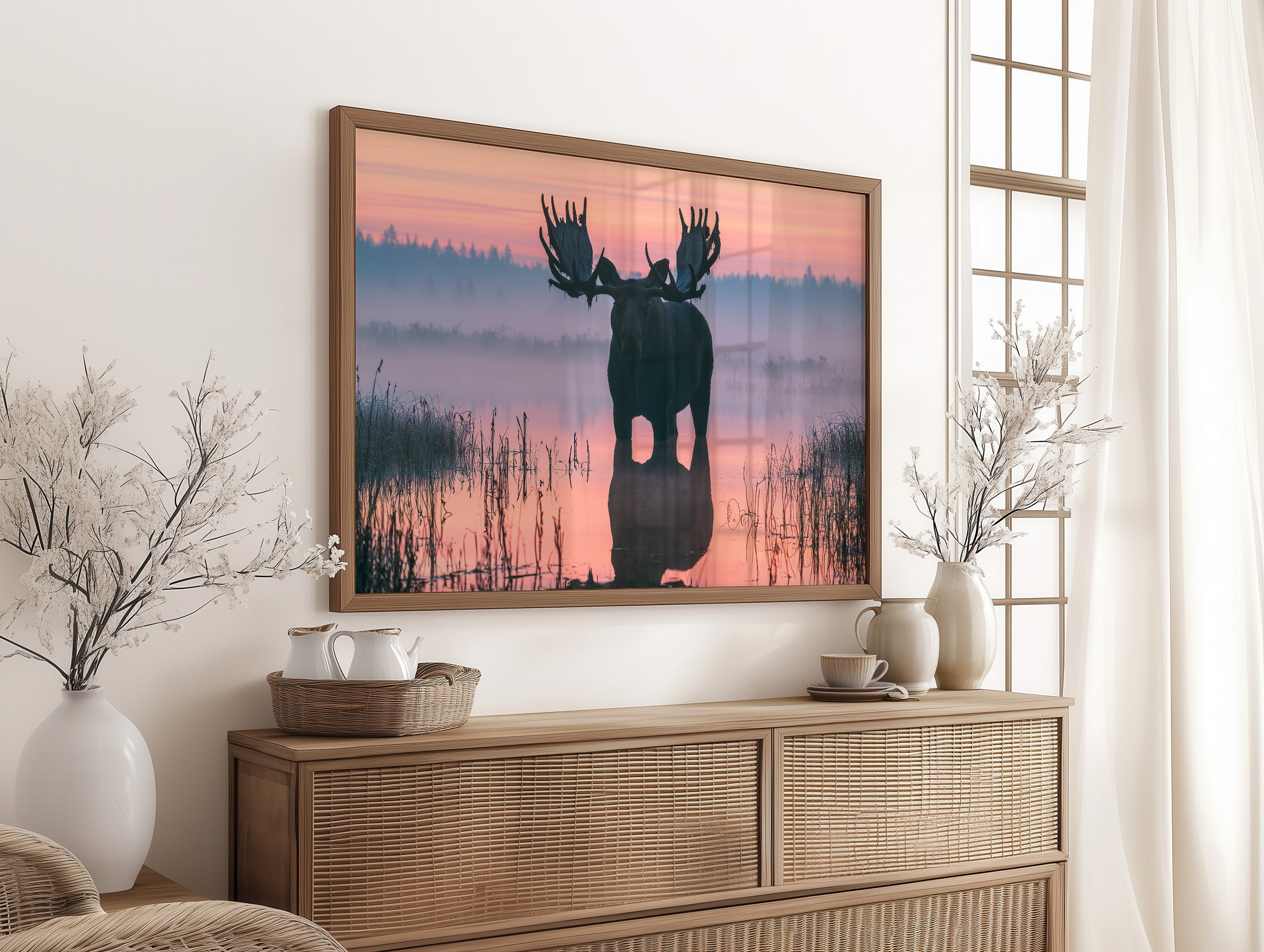 Bull Moose at First Light