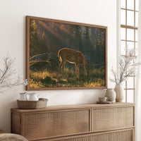 Grazing in the Golden Dew