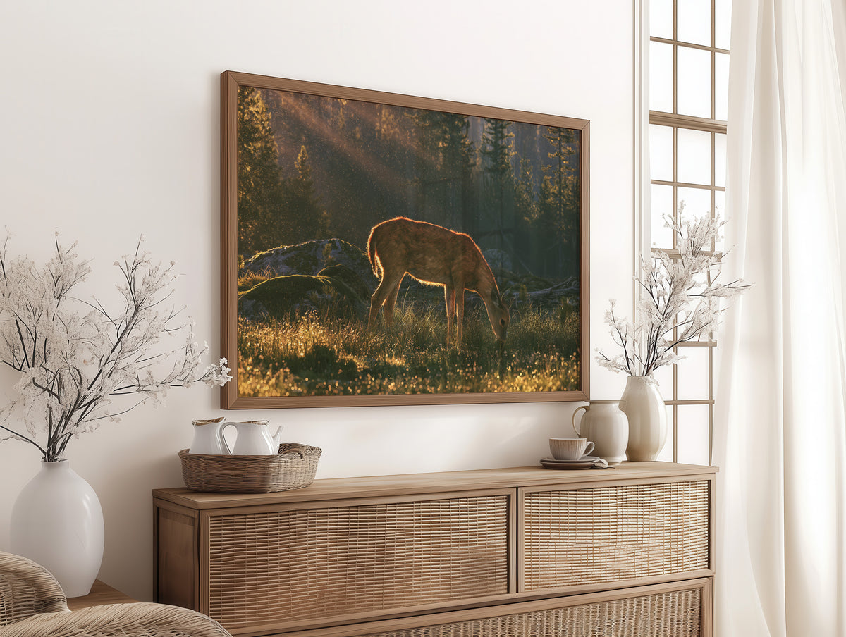 Grazing in the Golden Dew